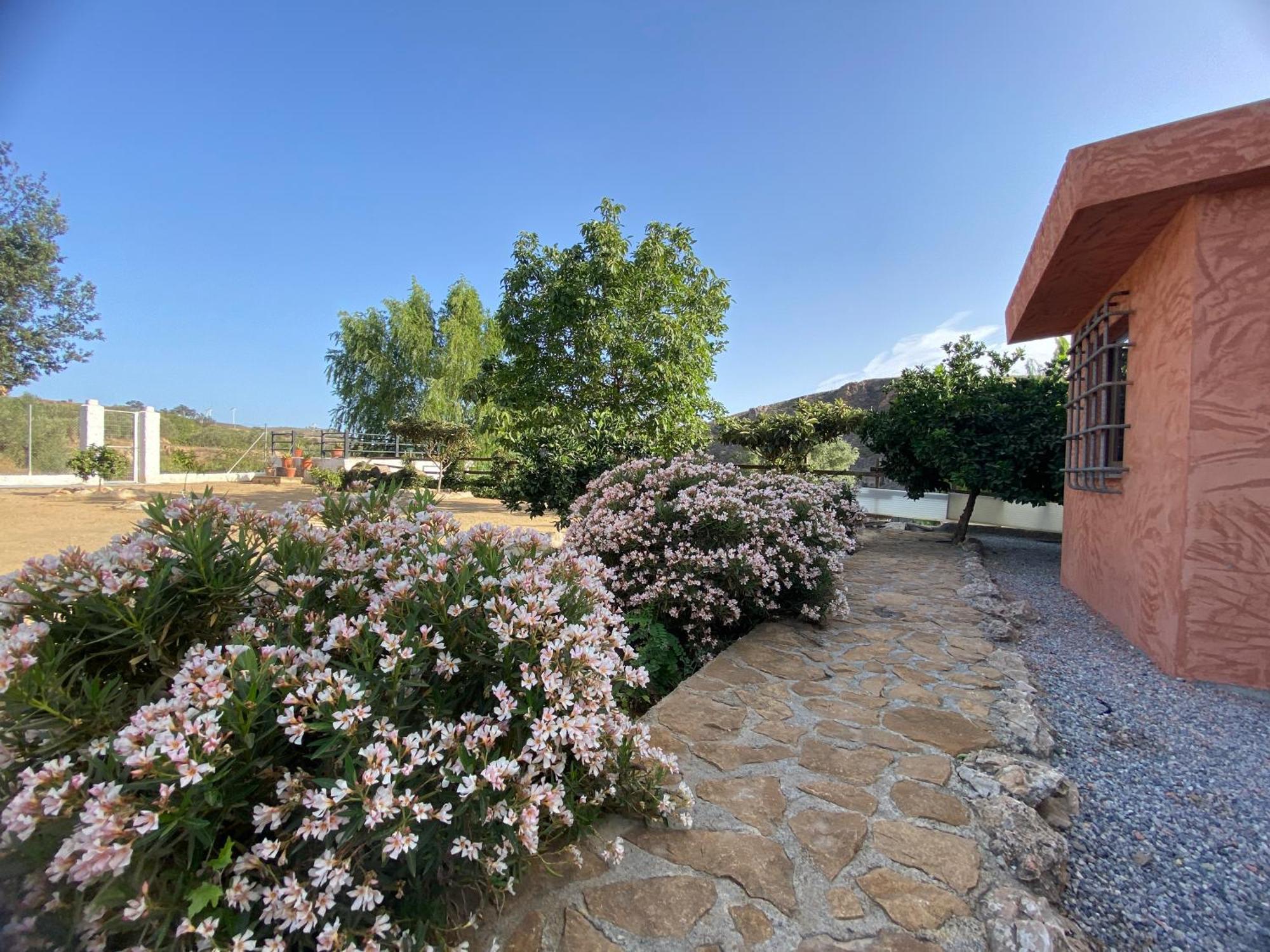 Villa Elisabeth Granada Exterior photo